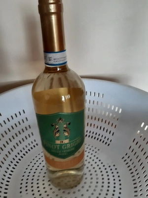 Vin pinnot grigio delle venezie