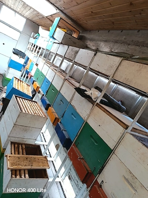 Vând camion sau schele cu tot cu cuti  - imagine 4