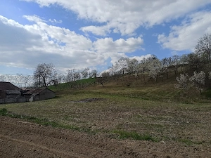 Casă+teren 4000 mp în Arduzel (lângă Ulmeni) - imagine 4