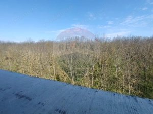 Apartament 4 camere CRANGUL PETRESTI. - imagine 9