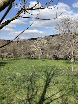 Vând teren intravilan sat Chidea  - imagine 2