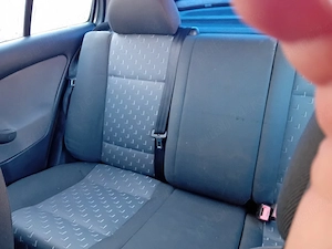 vand skoda1 - imagine 3