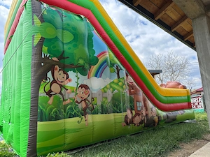 Închiriez topogan gonflabil cu 2 pante de coborâre*asigur transport și montaj ! - imagine 3