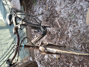 Bicicletă electrică de vanzare 