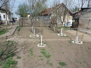 Casă locuită în prezent, de vânzare - imagine 4