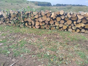 vand lemne de foc esenta tare carpen cu stejar transport acasa 