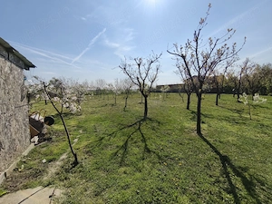 Vand casa individuala 3 camere si anexe Beregsau Mare direct de la proprietar - imagine 3