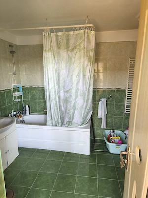 Vand casa individuala 3 camere si anexe Beregsau Mare direct de la proprietar - imagine 7
