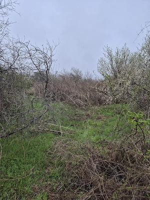 Vand Teren plus fundatie casa - imagine 3