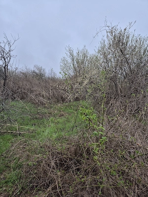 Vand Teren plus fundatie casa - imagine 9