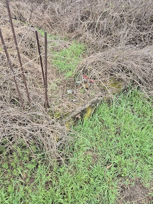 Vand Teren plus fundatie casa - imagine 8