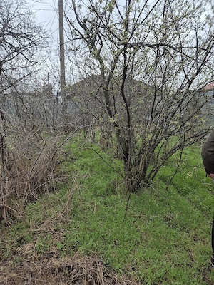 Vand Teren plus fundatie casa - imagine 10