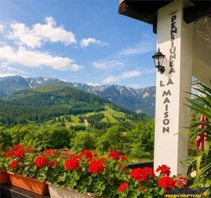 Pensiune:3 km de Castelul Bran, 2.900mp teren, aviz ISU, predare la cheie