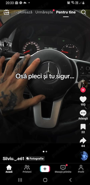 Vând  iapa  3 ani cuminte  blândă  fără defecte   60 negociabil  sau schimb  cu o junică - imagine 6