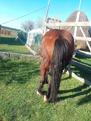     De vânzare  - imagine 5