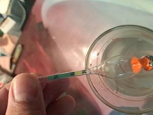 Vând tuica de pruna