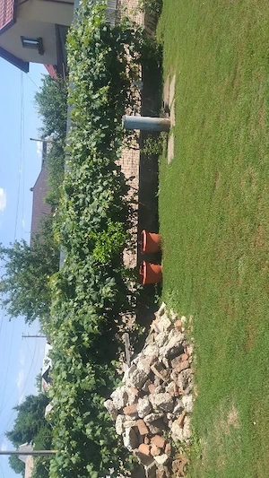 vand curte - imagine 3