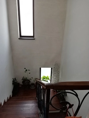 Vând vila în Domnesti