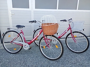 Bicicletă damă PROPHETE,cu 3 vit ,frână picior !