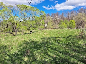 teren intabulat extravilan 3500m - imagine 6