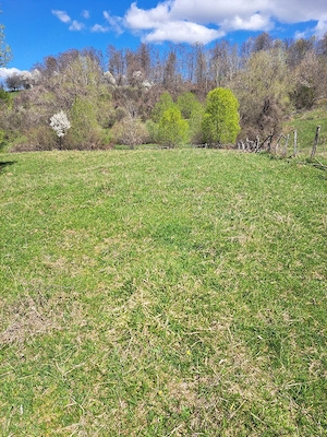 teren intabulat extravilan 3500m