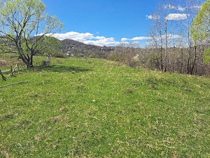 teren intabulat extravilan 3500m - imagine 3