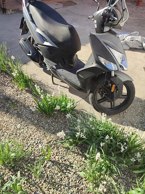 Scuter kymco agility R16+ - imagine 4