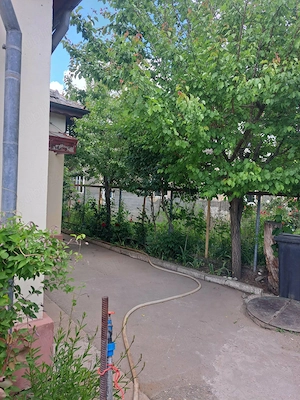 Urgent! Proprietar vând casă în CORABIA la preț negociabil. - imagine 8