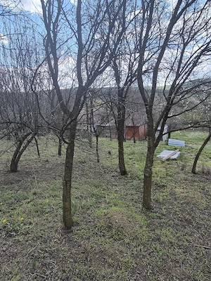 Casă la tara +teren utilități complete, Com Catina jud Cluj - imagine 2