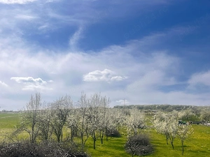 Teren Vânzare Bunesti Intravilan  - imagine 4