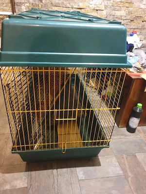 Cusca animale de companie - imagine 2