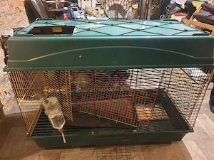 Cusca animale de companie - imagine 3