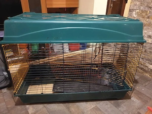 Cusca animale de companie