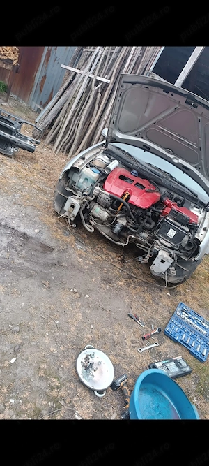  Pe bucăți sau întreagă! - imagine 4