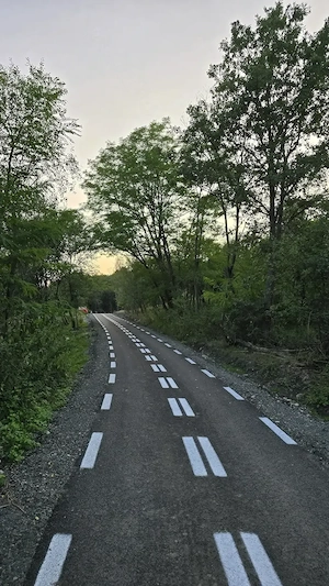 Vand teren extravilan pentru livada ferma