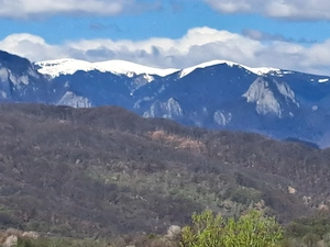 teren intabulat extravilan 3500m - imagine 9