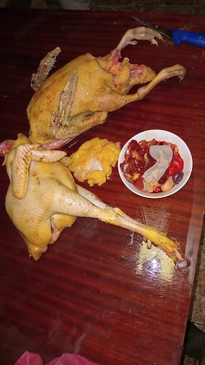 vănd rațe si găste diferite rase - imagine 4