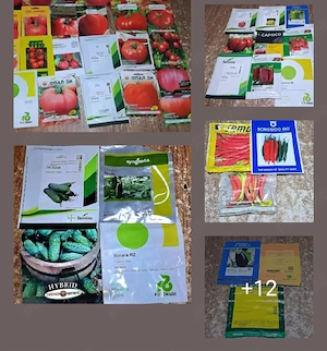 De vânzare rasaduri soiuri si hibrizi