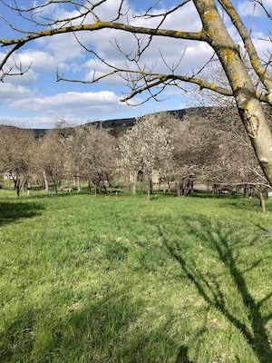 Vând teren intravilan sat Chidea  - imagine 3