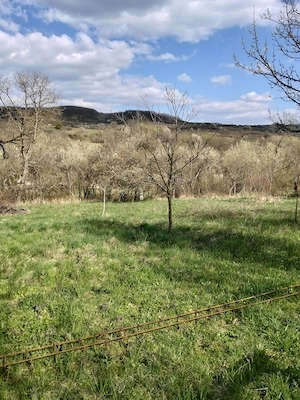 Vând teren intravilan sat Chidea 