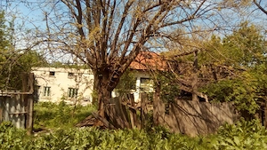 Teren 1149mp Simnicu de Sus - imagine 2