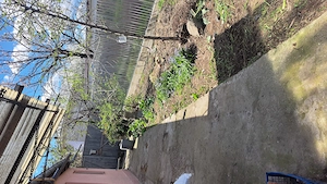 Casa 3 camere, zona Plantelor 