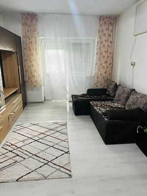 Vand apartament cu 2 camere, decomandat, com. Lovrin - imagine 2