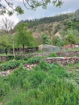 Casă de vânzare în Caraș Severin - imagine 10