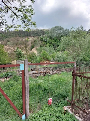 Casă de vânzare în Caraș Severin - imagine 9