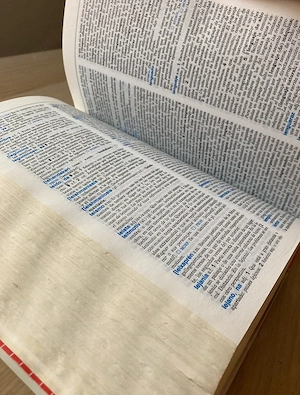 Lengua espanola - Diccionario Secundaria y Bachillerato - imagine 4