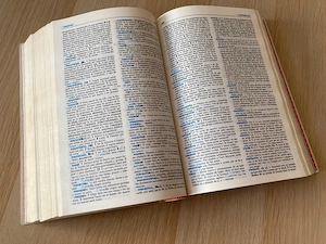 Lengua espanola - Diccionario Secundaria y Bachillerato - imagine 2