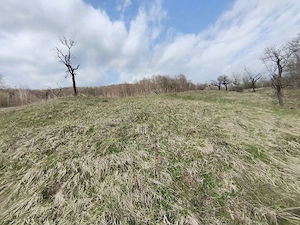 teren de vânzare  - imagine 4