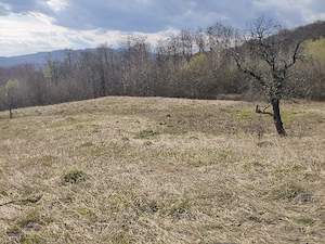 teren de vânzare  - imagine 5