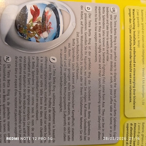 Acvarii de diferite forme sferice si paralelipipedice - imagine 2